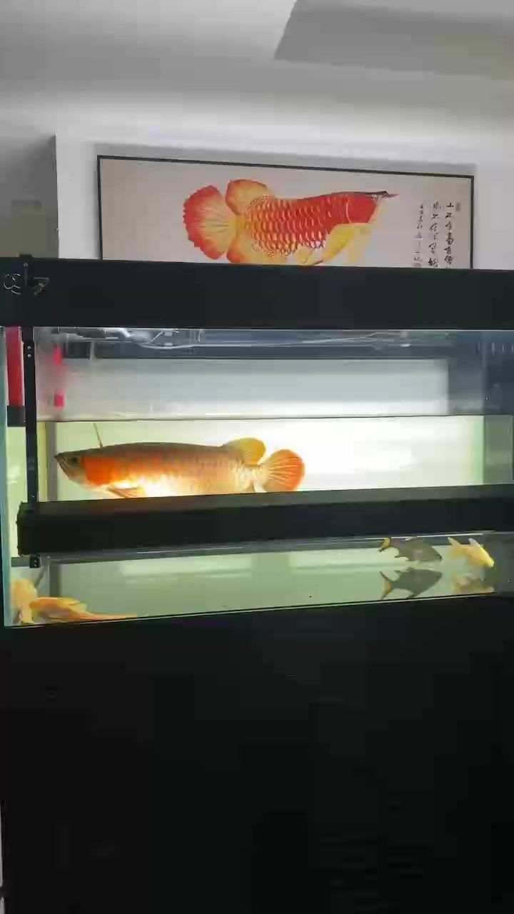 趁冬天上上色，趁冬天上上色，小伙不帥