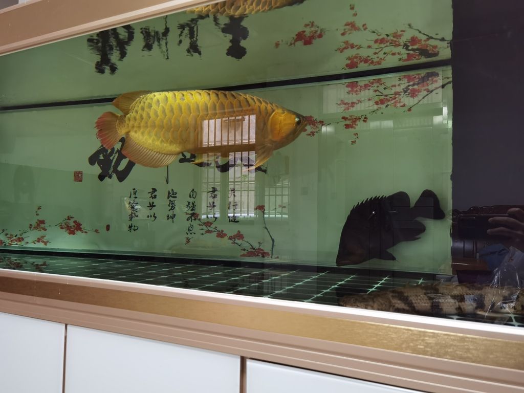 ，探索未來(lái)城市：智能交通系統(tǒng)與可持續(xù)發(fā)展的融合