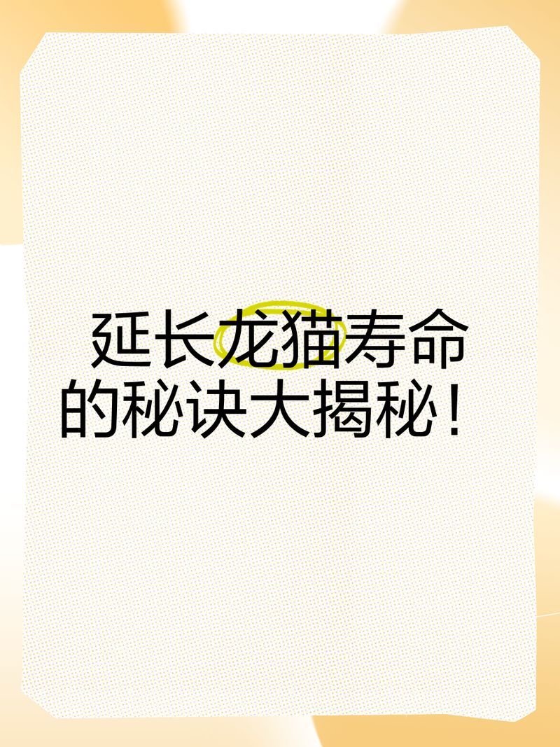 如何延長龍貓的壽命，如何有效地延長龍貓的壽命 如何延長龍貓的壽命，如何有效地延長龍貓的壽命 龍魚百科 第2張