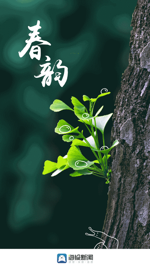 有哪些適合手機的免費動態壁紙，免費動態壁紙應用推薦
