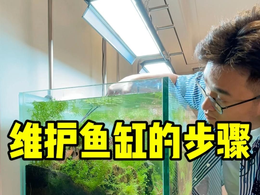 有哪些魚缸清洗技巧，魚缸如何清洗？
