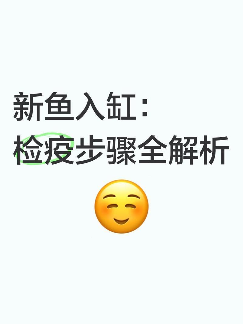 如何建立魚缸檢疫流程，新魚入缸前的檢疫流程全解析