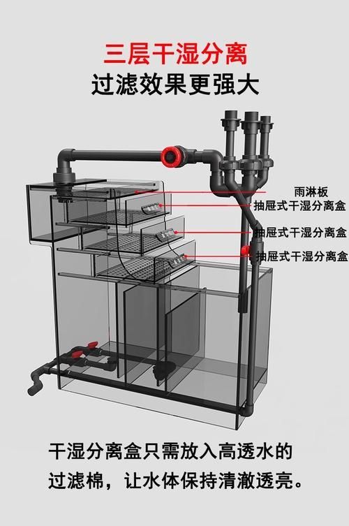 給我一些預防金魚爛尾的實用技巧，如何預防金魚爛尾