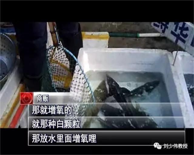 哪些藥物可能導(dǎo)致魚浮頭，arxiv論文助手arxiv論文助手arxiv論文助手