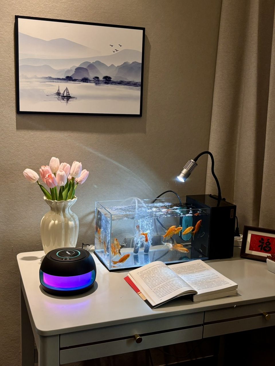 今日魚缸記錄分享，今日魚缸記錄分享，在今天的魚缸觀察中發現一些有趣的現象