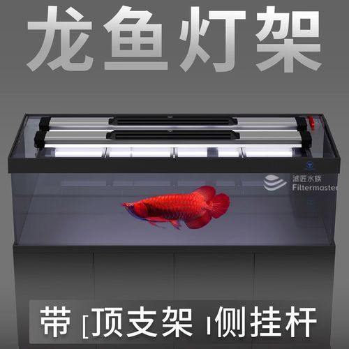有哪些品牌白燈適合紅龍魚，紅龍魚發色關鍵在于光譜的精準匹配而非單純亮度