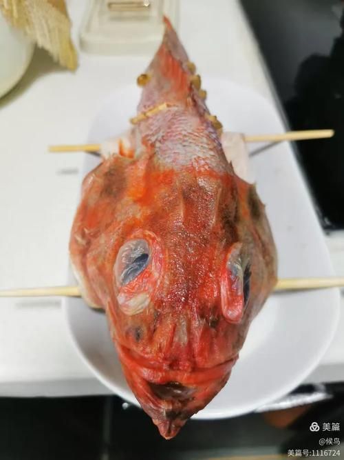 能提供一些紅龍魚的食物圖片嗎，紅龍魚可以吃水蚤、蚯蚓、甲殼類嗎？