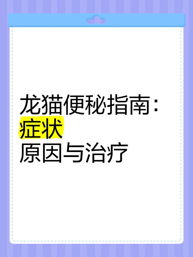 龍貓消化系統異常有哪些原因，寵物喂養指南針，龍貓消化系統異常有哪些癥狀？