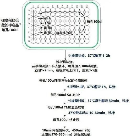 如何判斷土霉素是否有效，土霉素有效性判斷
