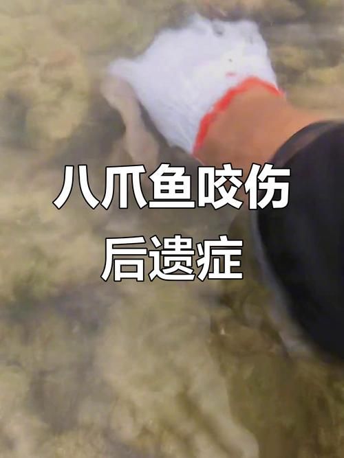如何判斷魚是否咬傷其他魚，arxiv論文助手arxiv論文助手判斷魚是否被咬傷