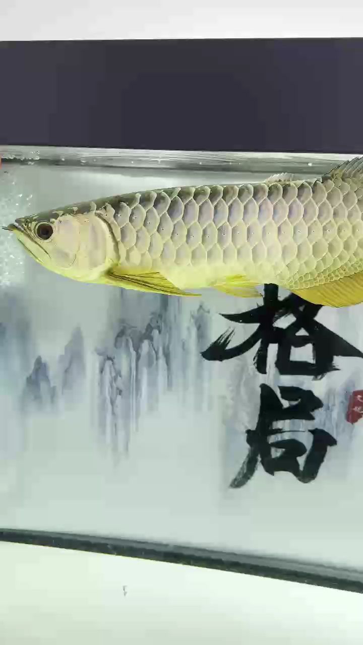 看你慢慢表現(xiàn)[aini][aini]，個體在社交場合中的表現(xiàn)方式