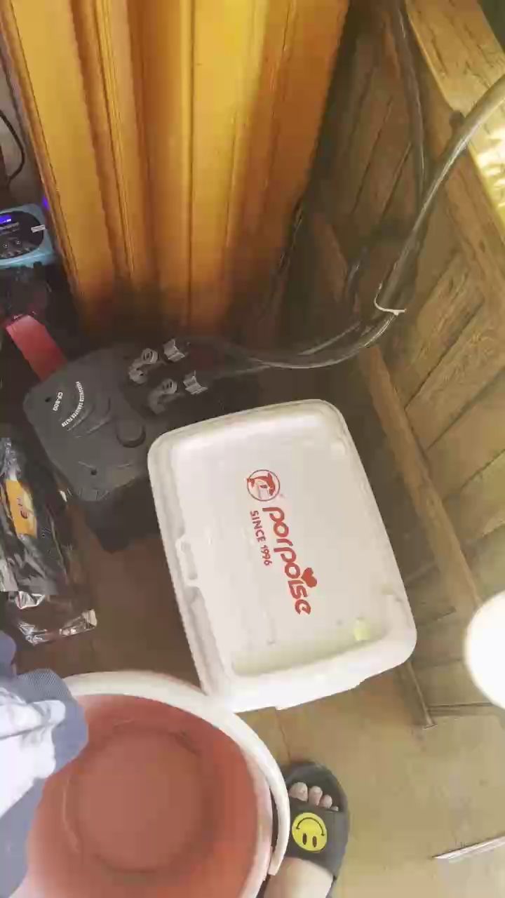 晨喂，晨喂的重要性