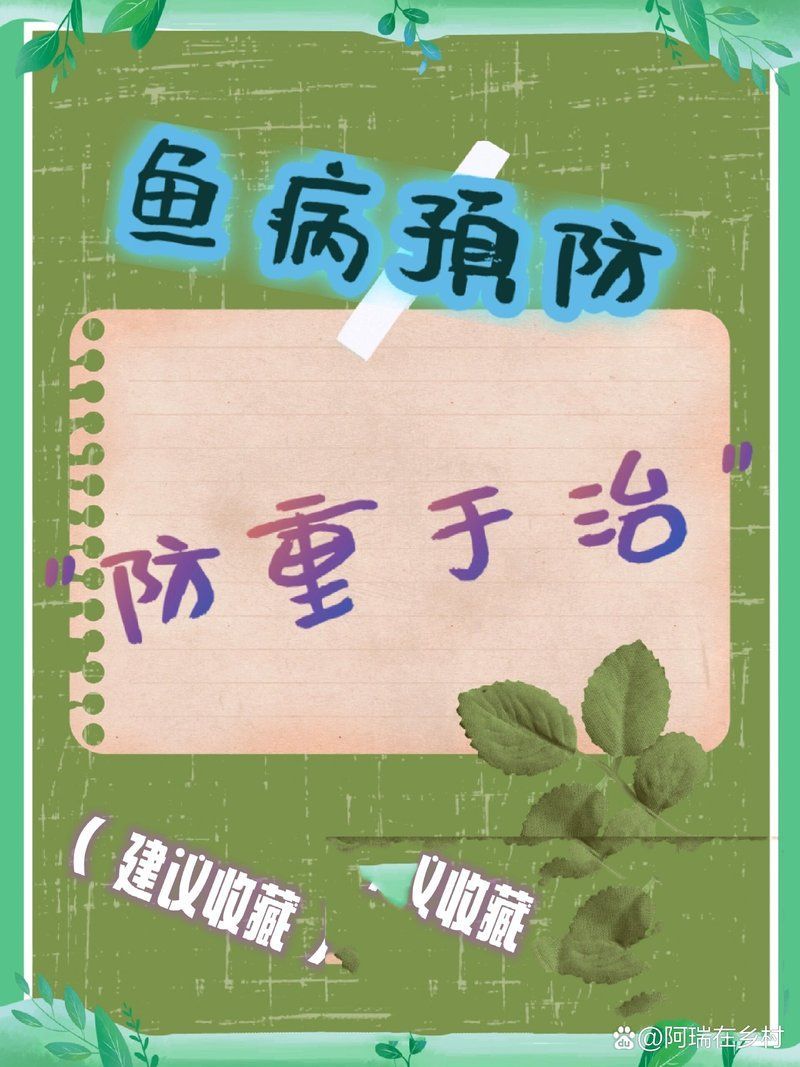 如何預防魚病的發生，如何防治魚病？