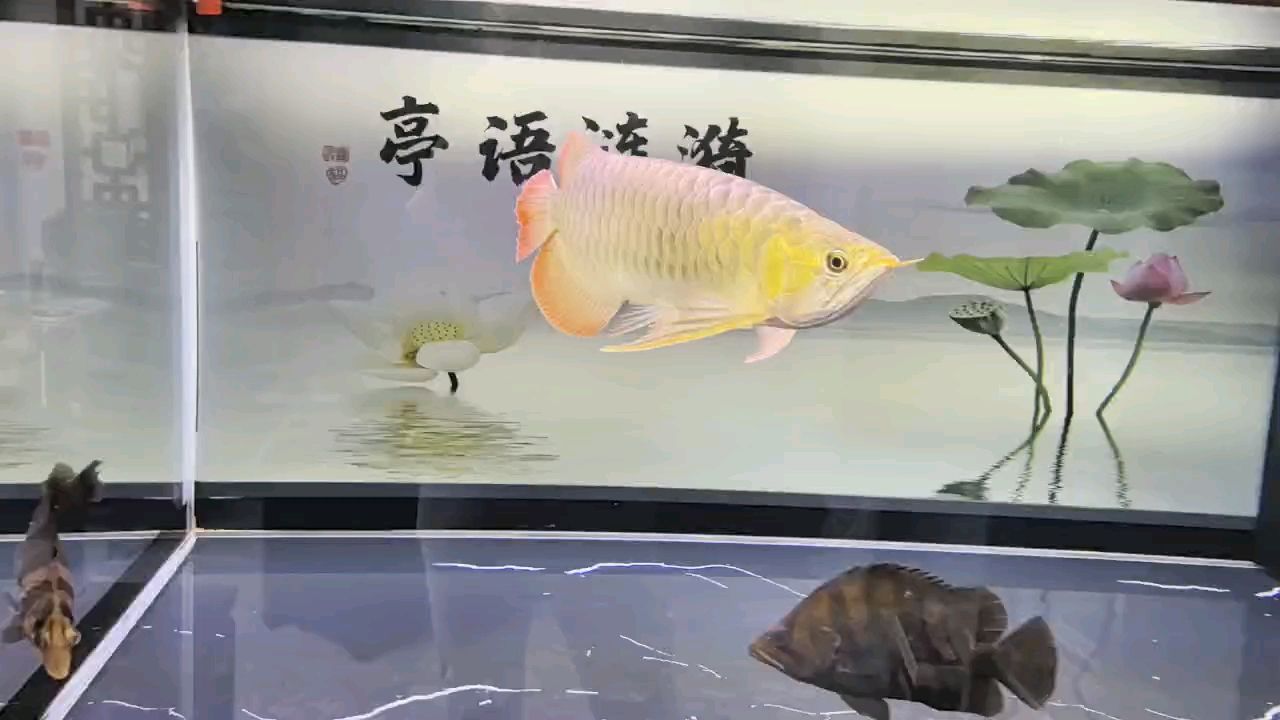 堅持愛好，堅持愛好對個人發展的重要性與實踐策略