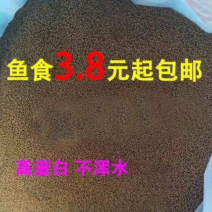 有哪些優(yōu)質(zhì)金魚飼料推薦,有哪些品牌金魚飼料推薦 龍魚百科 第2張 有哪些優(yōu)質(zhì)金魚飼料推薦,有哪些品牌金魚飼料推薦 有哪些優(yōu)質(zhì)金魚飼料推薦,有哪些品牌金魚飼料推薦 龍魚百科 第2張