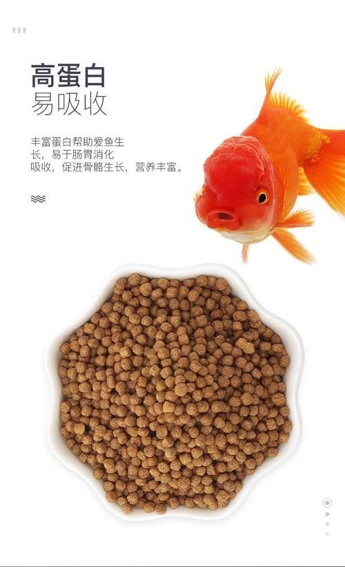 有哪些優(yōu)質(zhì)金魚飼料推薦,有哪些品牌金魚飼料推薦 龍魚百科 第4張 有哪些優(yōu)質(zhì)金魚飼料推薦,有哪些品牌金魚飼料推薦 有哪些優(yōu)質(zhì)金魚飼料推薦,有哪些品牌金魚飼料推薦 龍魚百科 第4張
