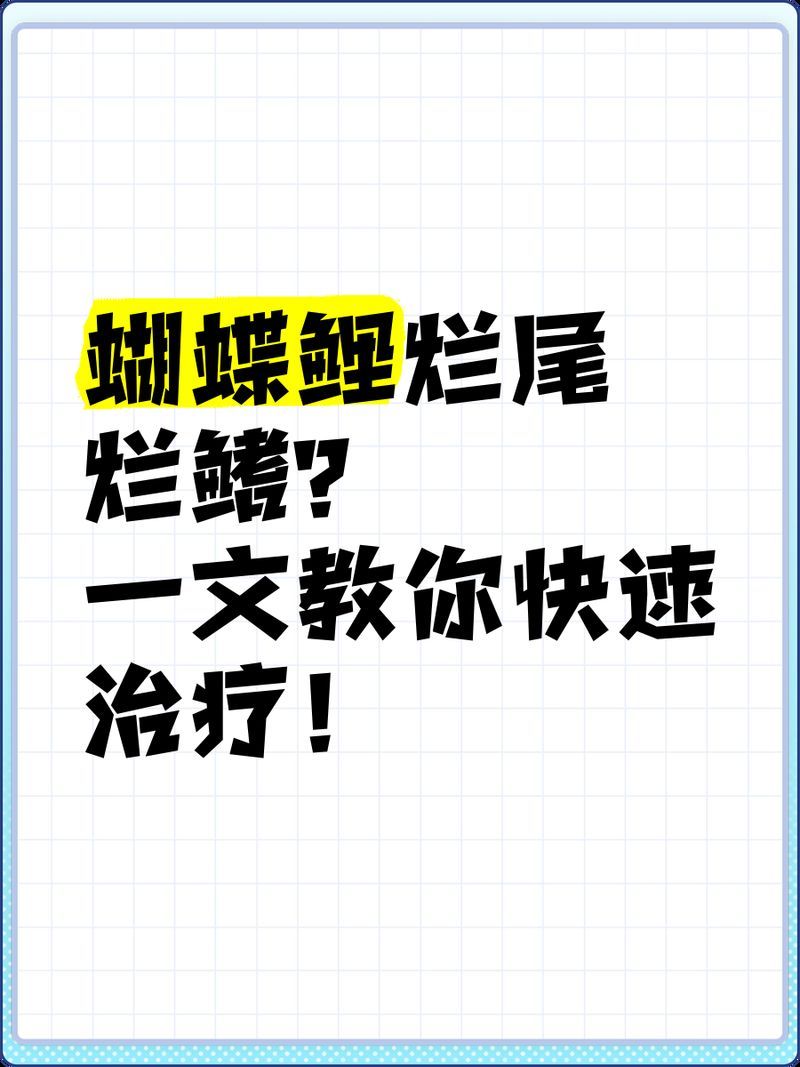 魚爛鰭爛尾期間需要喂食嗎，金魚爛鰭爛尾怎么辦 魚爛鰭爛尾期間需要喂食嗎，金魚爛鰭爛尾怎么辦 龍魚百科 第2張