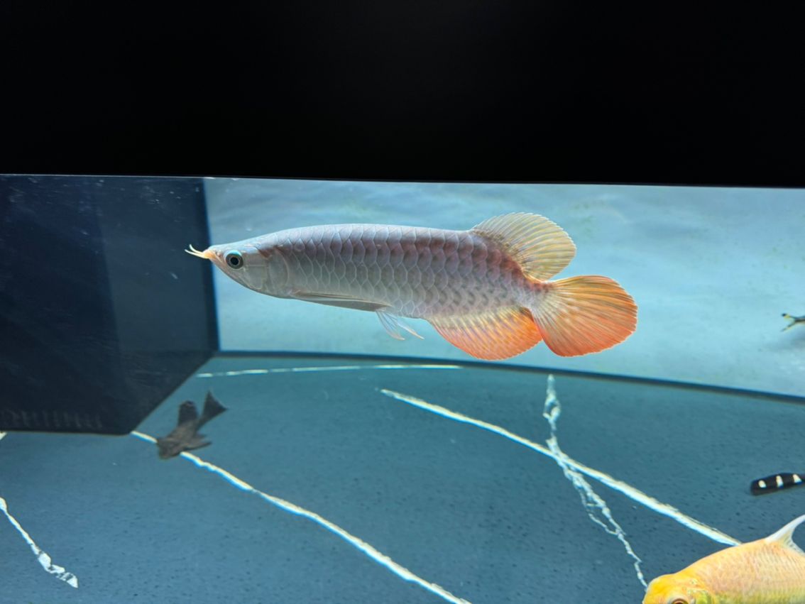 ，ai為教育領域帶來了前所未有的機遇和挑戰，需要政策制定者和技術開發者共同努力