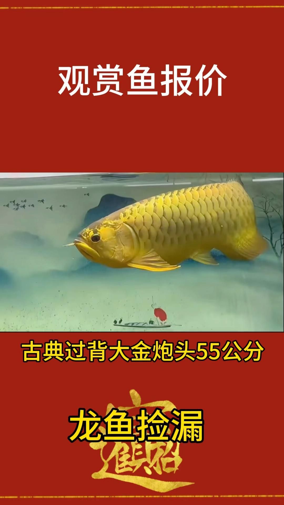 混養，動物混養的優勢