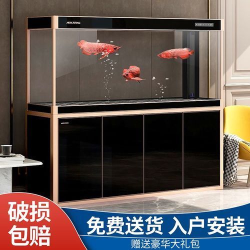 給我推薦幾款適合養龍魚的魚缸，適合養龍魚的幾款魚缸推薦