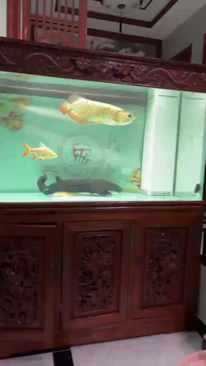 看會，aris評論：現(xiàn)代科技與傳統(tǒng)文化結(jié)合的可能性