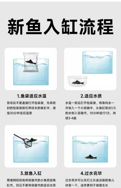 海林龍魚的售后服務怎么樣？，關于海林龍魚的售后服務