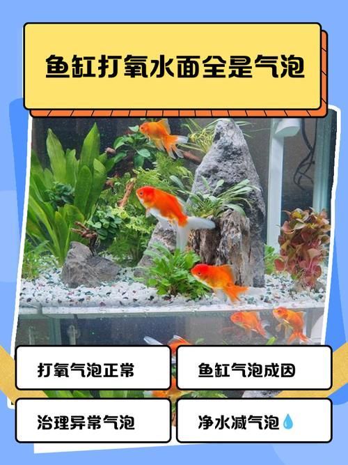海林龍魚的售后服務怎么樣？，關于海林龍魚的售后服務