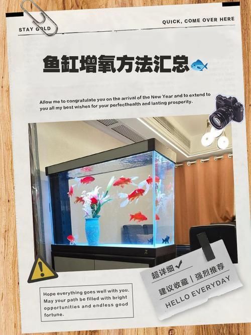 海林龍魚的售后服務怎么樣？，關于海林龍魚的售后服務