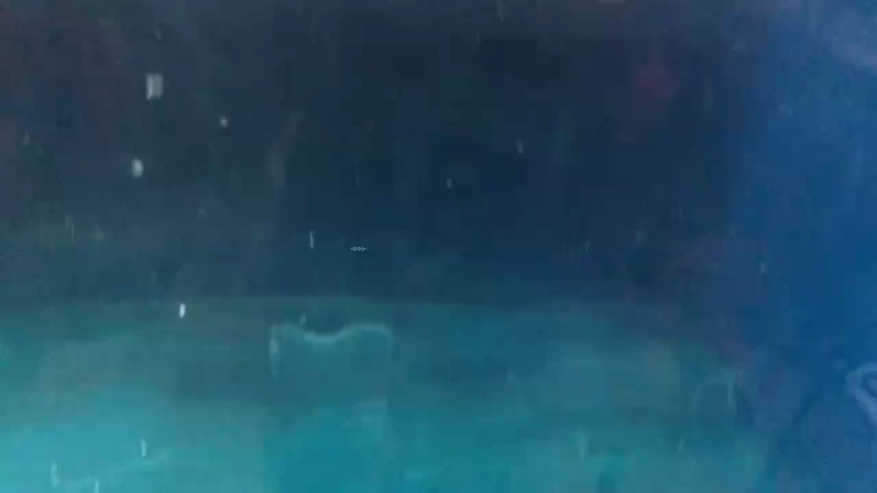 靜靜看看魚，靜靜看看魚，本文探討了在靜謐的環(huán)境中觀賞魚類的美學(xué)價(jià)值及其對個(gè)人情緒的影響