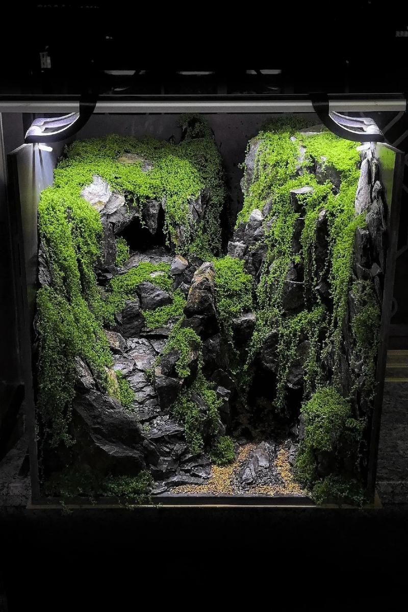 能否提供一張更詳細(xì)的造景圖，--如何獲取高清的造景參考圖