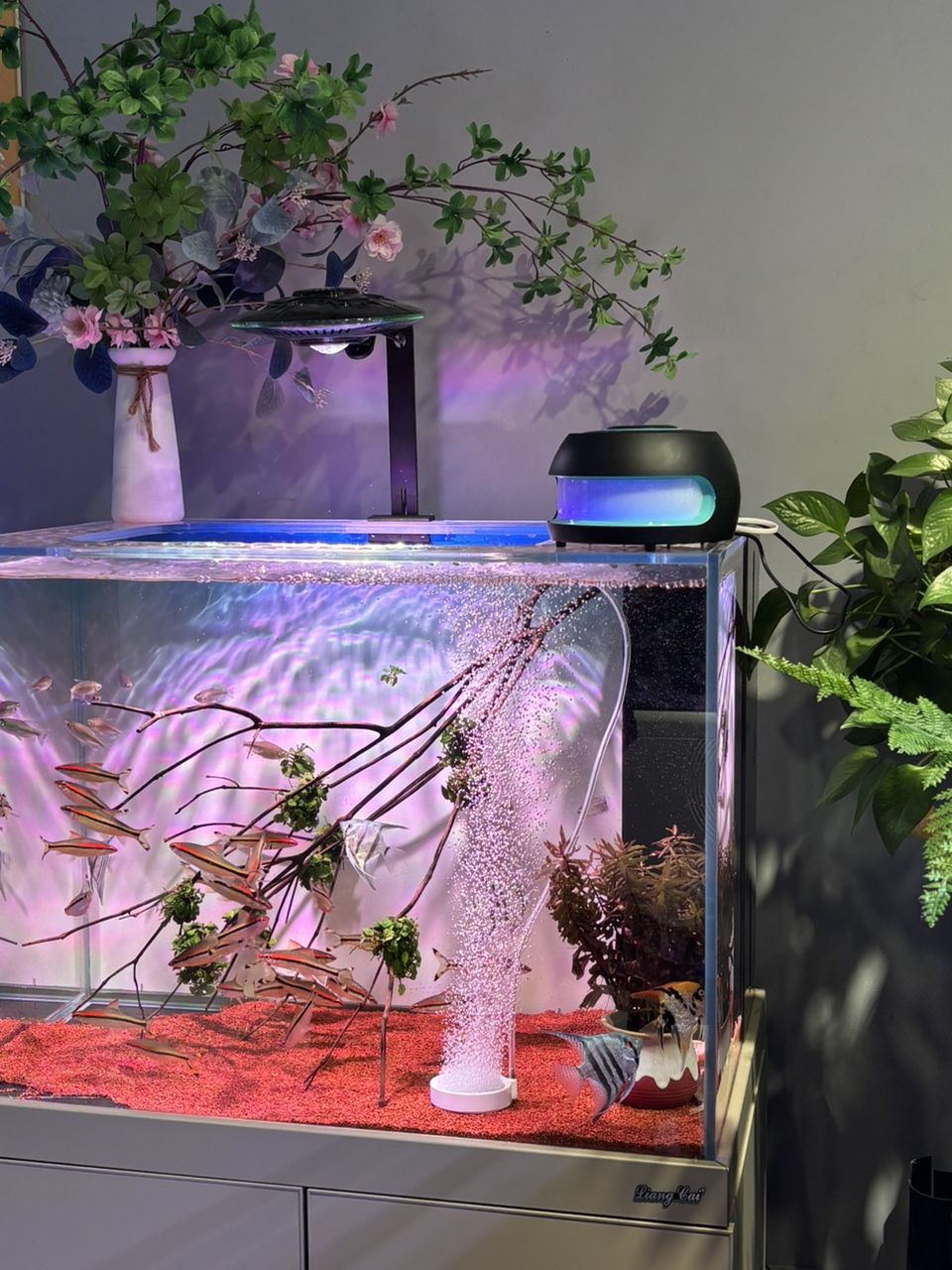 養魚庫存分享，魚庫存分享