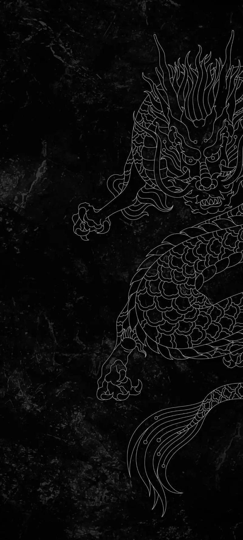 四角龍圖片作為壁紙高清版，“四角龍”高清壁紙獲取渠道清單，如何獲取四角龍高清壁紙