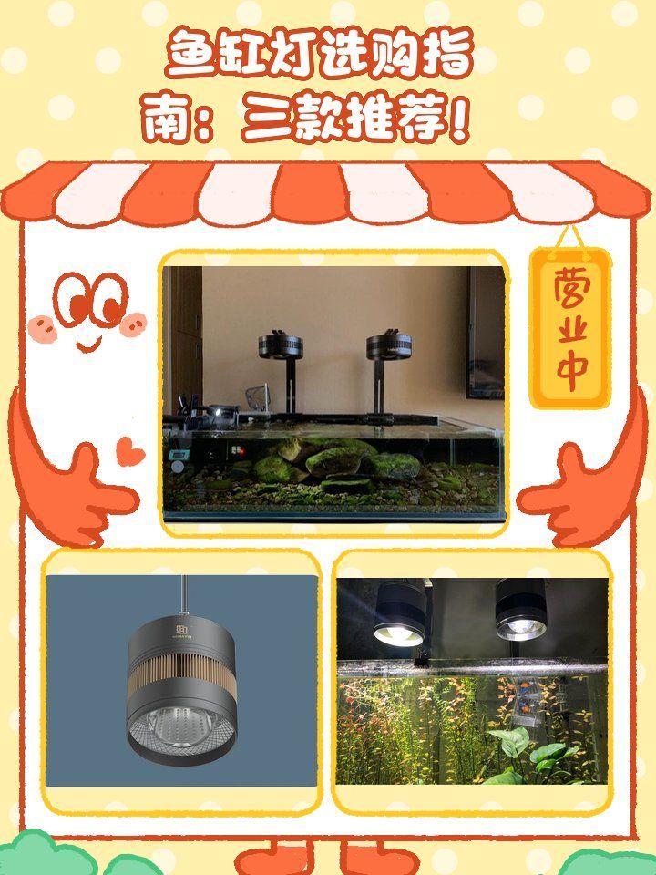 如何判斷龍魚缸燈的質量，如何判斷魚缸燈的質量