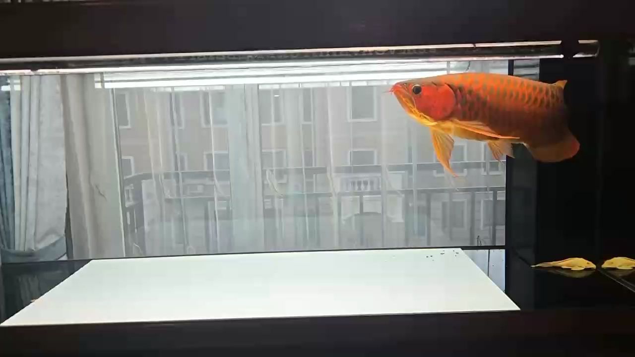 漂亮，“漂亮”不應成為評價一個人的唯一標準