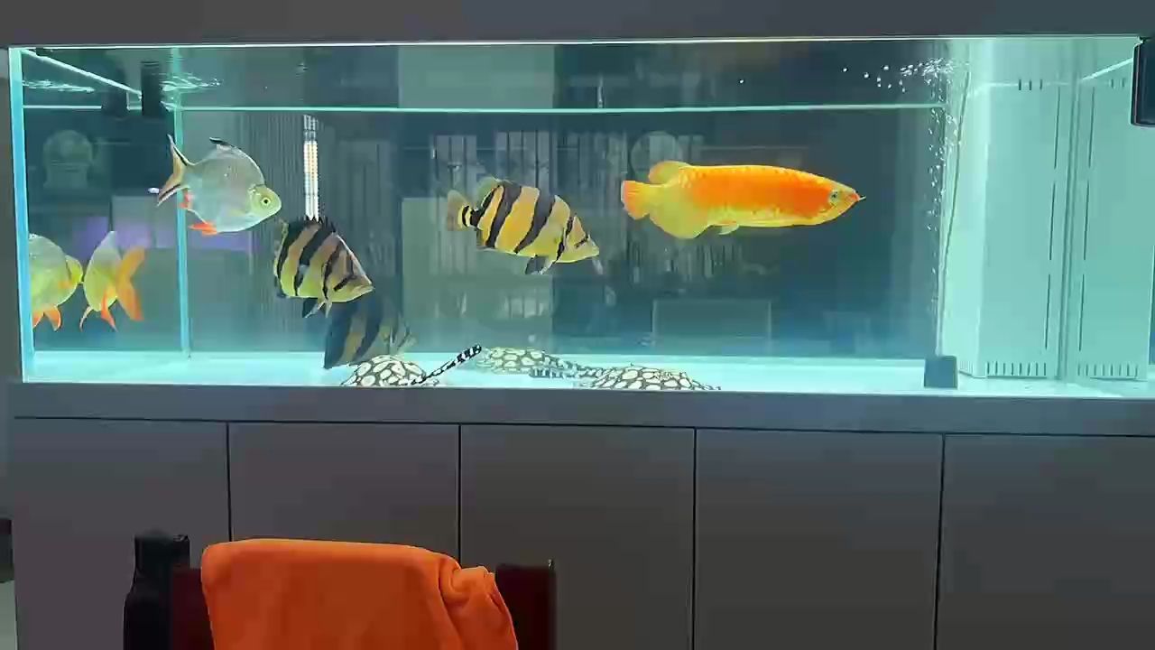 瞧一瞧，看一看，觀察的重要性