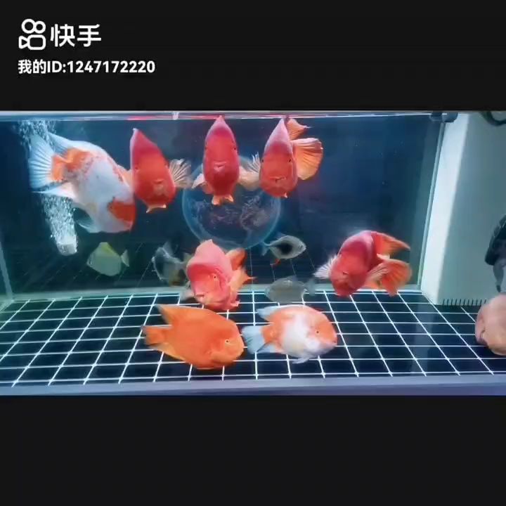 事事順遂，會越來越好，南無阿彌陀佛??????，“事事順遂，會越來越好，南無阿彌陀佛”是佛教中的一句祝福語