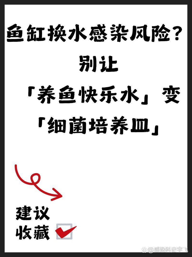 如何預(yù)防魚缸水細(xì)菌傳染給人，幼宕t,魚缸水細(xì)菌傳染風(fēng)險與科學(xué)防護
