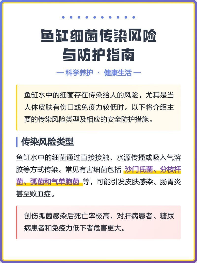 如何預(yù)防魚缸水細(xì)菌傳染給人，幼宕t,魚缸水細(xì)菌傳染風(fēng)險與科學(xué)防護