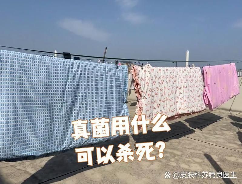 真菌在手上存活多久會死亡，「手部真菌在手上存活多久會死亡