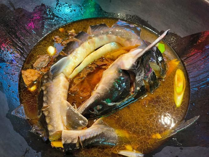 西青龍魚的最佳烹飪方法，西青龍魚的做法