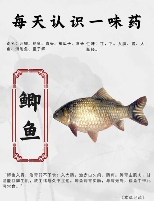 有哪些天然方法可以治療魚鰓蓋潰爛，天然方法治療魚鰓蓋潰爛