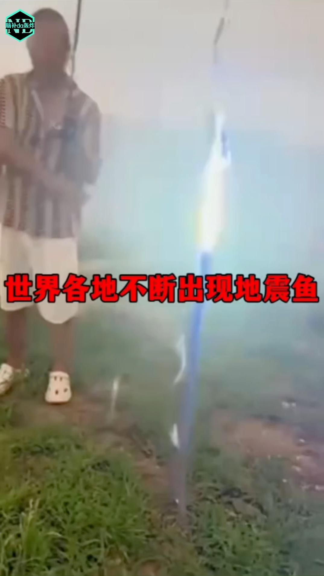 魚擋災是否有科學解釋，魚擋災是否存在科學依據