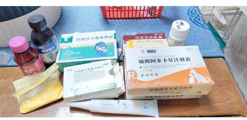 魚爛尾爛鰭多久能恢復(fù)，如何判斷魚爛尾爛鰭的嚴(yán)重程度？