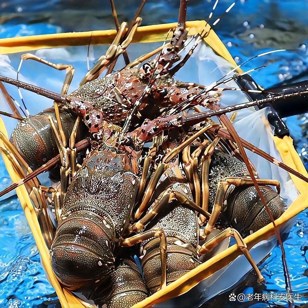 如何預防魚缸細菌傳染給人，魚缸疾病防護