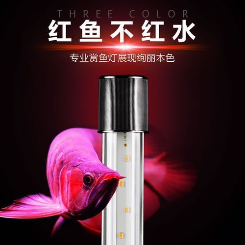 推薦幾款性價(jià)比高的龍魚(yú)燈日光燈，2026年高性價(jià)比龍魚(yú)燈日光燈推薦（2026年實(shí)測(cè)精選）
