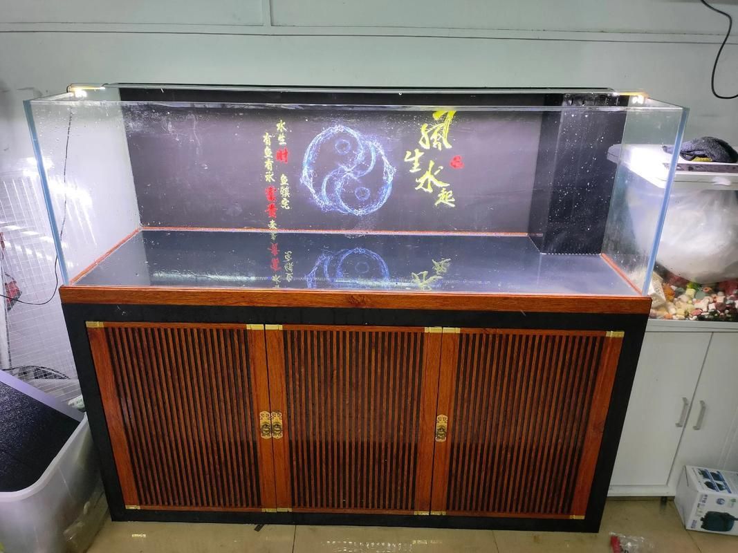 推薦幾款性價(jià)比高的龍魚(yú)燈日光燈，2026年高性價(jià)比龍魚(yú)燈日光燈推薦（2026年實(shí)測(cè)精選）