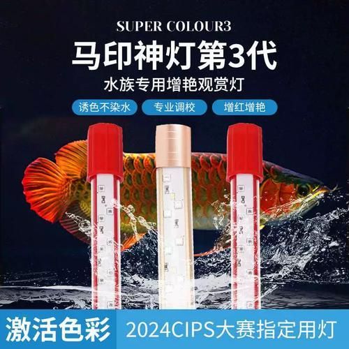 推薦幾款性價(jià)比高的龍魚(yú)燈日光燈，2026年高性價(jià)比龍魚(yú)燈日光燈推薦（2026年實(shí)測(cè)精選）