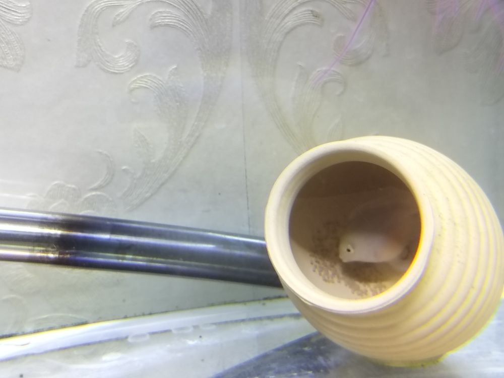 一窩接一窩，“一窩接一窩”的意義和啟示