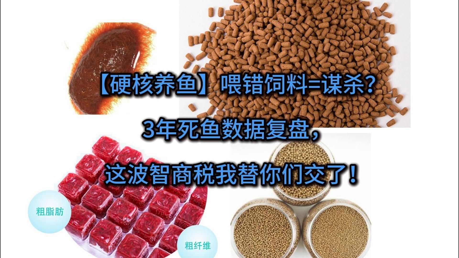 有哪些魚飼料推薦，如何選擇魚飼料