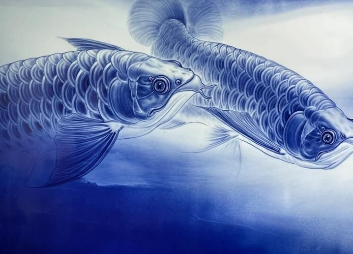 青花龍魚的價(jià)格是多少？，關(guān)于青花龍魚的價(jià)格問題